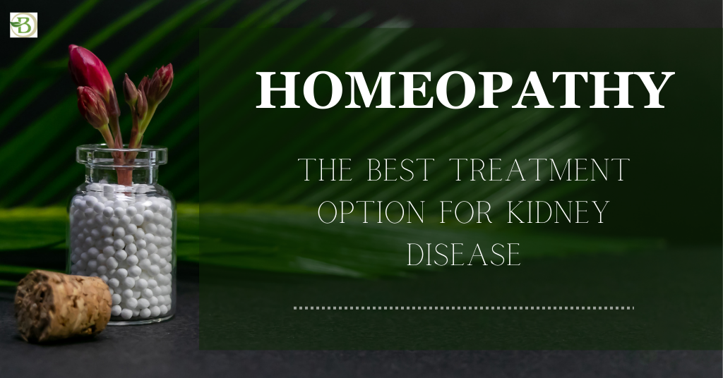 Homeopathic Treatment for Kidney Disease