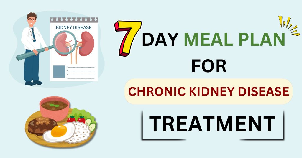 best diet plan for chronic kidney disease treatment