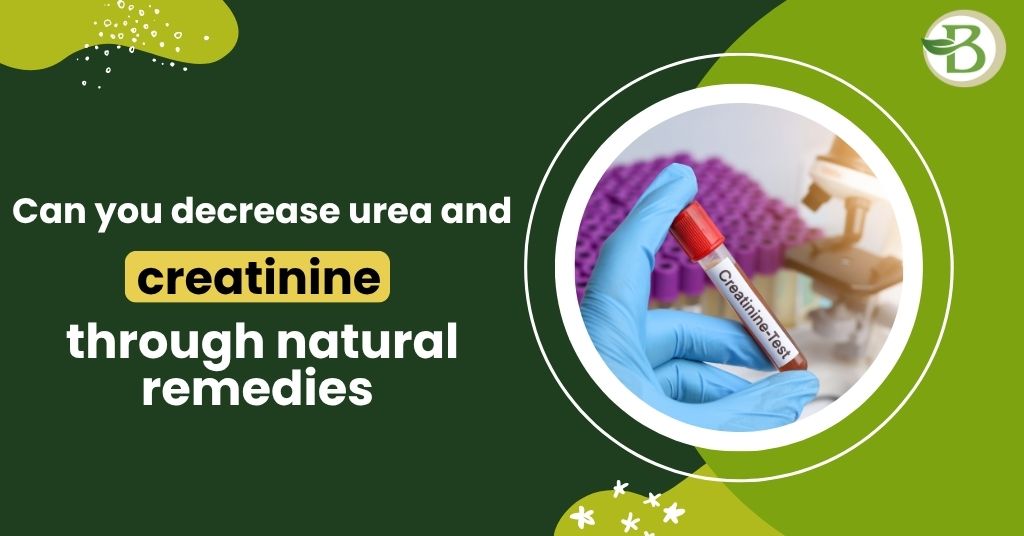 Can you decrease urea and creatinine through natural remedies