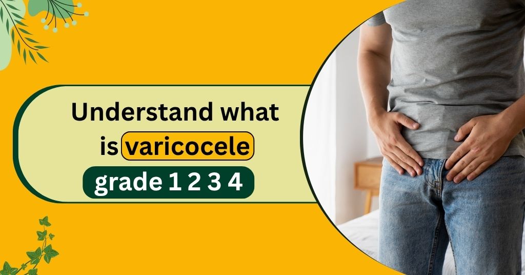 Understand What Is Varicocele Grade 1 2 3 4.