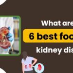 What are the 6 best foods for kidney disease?